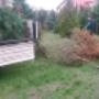 Wycinka drzew, sprzątanie ogrodów