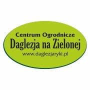Daglezja na Zielonej Centrum Ogrodnicze