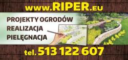 RIPER