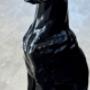 Doberman