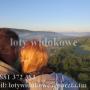 Dodane przez klienta firmy 25.07.2016