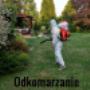 Dodane przez klienta firmy 16.03.2017