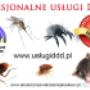 Dodane przez klienta firmy 16.03.2017