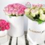 Flowerbox 2