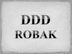 DDD Robak Team