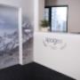 Apogee