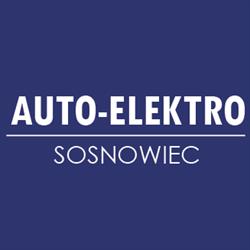 Auto-Elektro