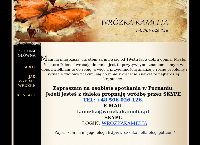 Strona internetowa z WROZKA KAMELIA