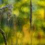 Kurs fotografii Gliwice