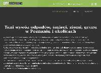 Strona internetowa z City Recykling