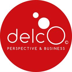 Delco Perspective & Business