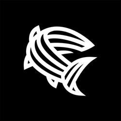 Blackfish Studio