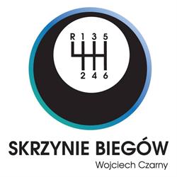 Skrzynie Biegów Wrocław Czarny Wojciech Czarny