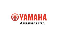 ADRENALINA P H U