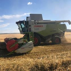 AGRO SILESIA