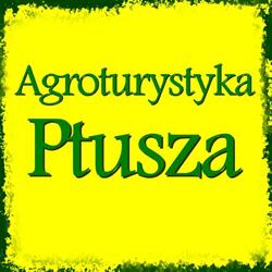 AGROTURYSTYKA USŁUGI HANDEL
