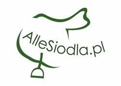 ALLESIODŁA