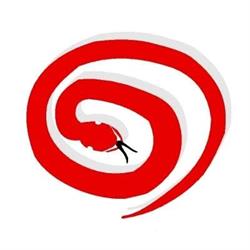 ANACONDA PRODUCTIONS