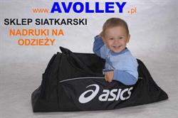 AVOLLEY