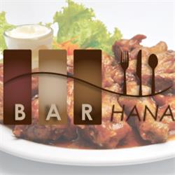 BAR GASTRONOMICZNO-HANDLOWY "HANA" HANNA ANTONIJEVIĆ