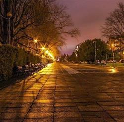 BAR PROMENADA