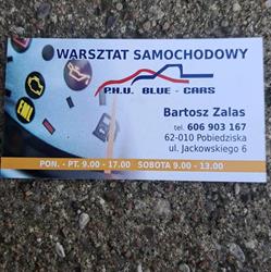 BARTOSZ ZALAS P.H.U. BLUE-CARS