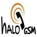 BARTOSZ SOBIERSKI HALO-GSM