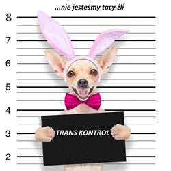 Bif Trans Kontrol Agnieszka Walczak