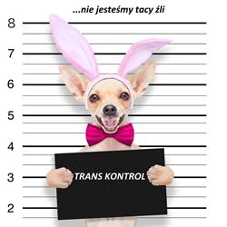 Bif Trans Kontrol Agnieszka Walczak