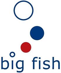 "Big Fish Polska" Sp. z o.o.