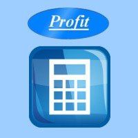 BIURO RACHUNKOWE I ZAKŁAD USŁUG BUDOWLANYCH PROFIT