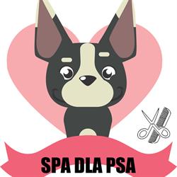 BŁAŻEJ JABŁOŃSKI SALON SPA DLA PSA