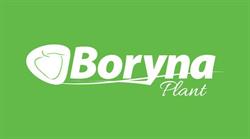 BORYNA