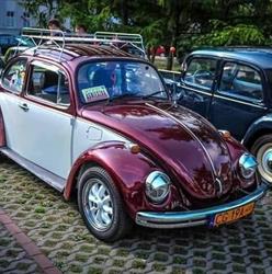 CAR GAS