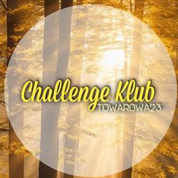 Challenge Klub Towarowa23 - Siłownia / Fitness / Suplementy