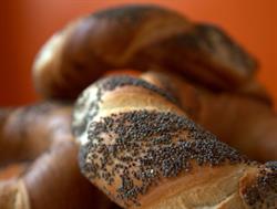 CIRCULIS