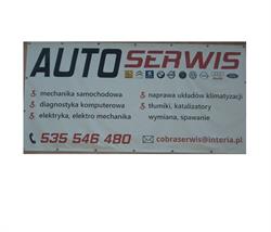 COBRA SERWIS
