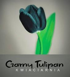 CZARNY TULIPAN