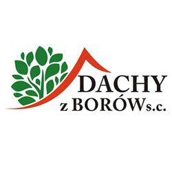 Dachy z Borów