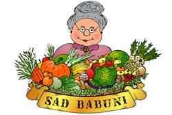 DARIA GRZEGORCZYK SAD BABUNI