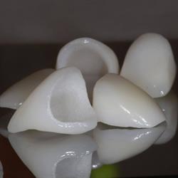 Dental Studio