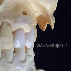DENSAN