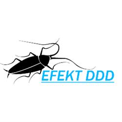 Efekt DDD