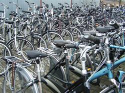 EVY BIKE