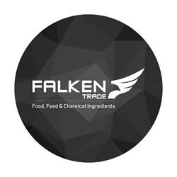 "Falken Trade Polska" Sp. z.o.o. Sp.k.