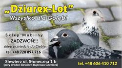 FIRMA HANDLOWA DZIUREX LOT