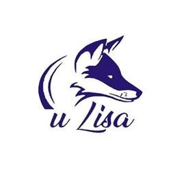 FIRMA HANDLOWA U LISA