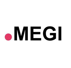 FIRMA PRODUKCYJNO HANDLOWO USŁUGOWA MEGI