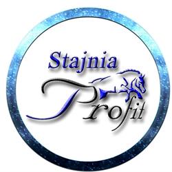 FIRMA PROFIT