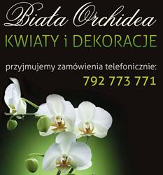 BIAŁA ORCHIDEA Fh Kwiaty i Dekoracje Joanna Durma